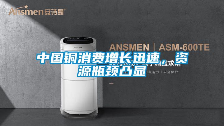 中國(guó)銅消費(fèi)增長(zhǎng)迅速，資源瓶頸凸顯