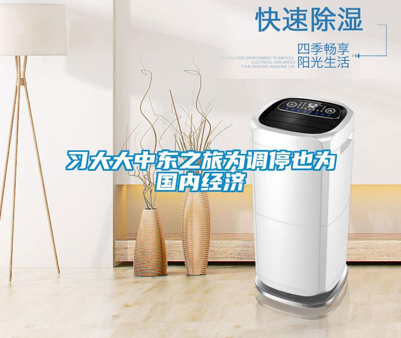 習(xí)大大中東之旅為調(diào)停也為國內(nèi)經(jīng)濟