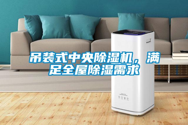 吊裝式中央除濕機(jī)，滿(mǎn)足全屋除濕需求