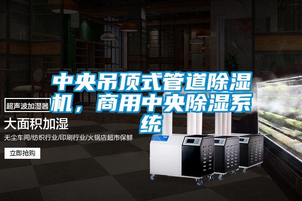 中央吊頂式管道除濕機(jī)，商用中央除濕系統(tǒng)