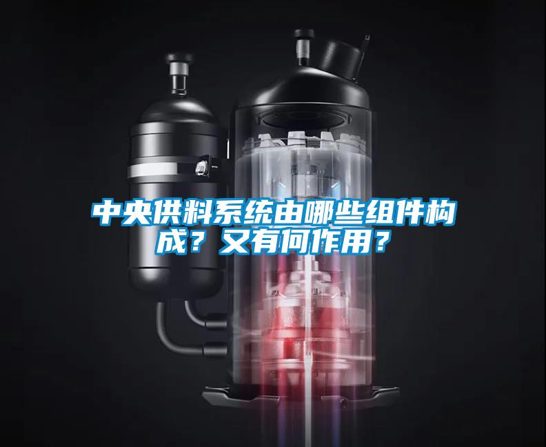 中央供料系統(tǒng)由哪些組件構(gòu)成？又有何作用？