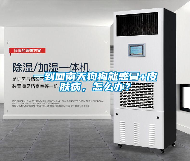 一到回南天狗狗就感冒+皮膚病，怎么辦？