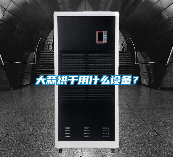 大蒜烘干用什么設(shè)備?