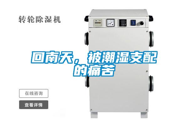 回南天，被潮濕支配的痛苦