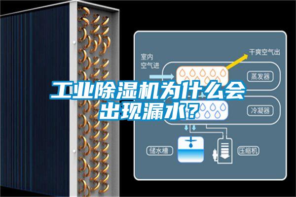 工業除濕機為什么會出現漏水？