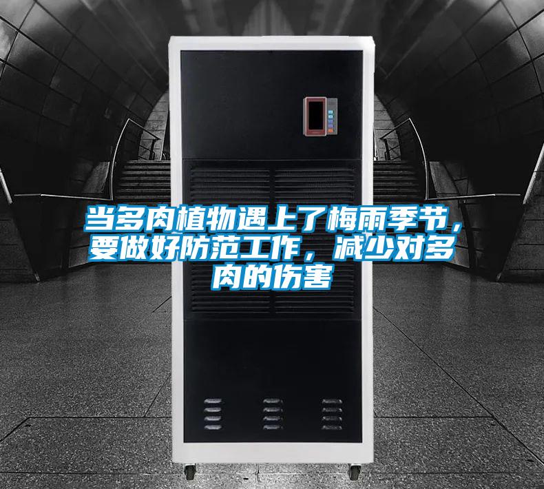 當(dāng)多肉植物遇上了梅雨季節(jié)，要做好防范工作，減少對(duì)多肉的傷害