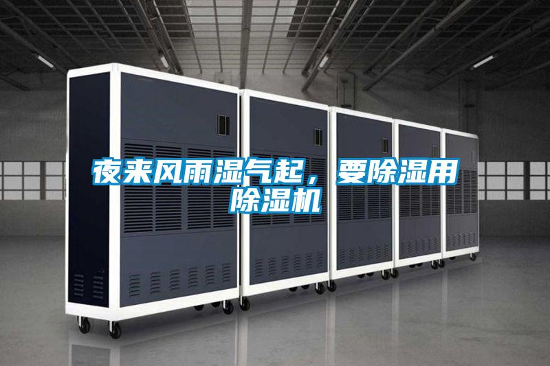 夜來風(fēng)雨濕氣起,要除濕用除濕機