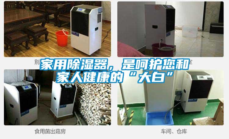 家用除濕器，是呵護您和家人健康的“大白”