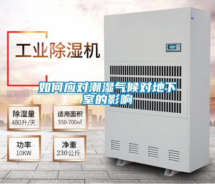 如何應(yīng)對(duì)潮濕氣候?qū)Φ叵率业挠绊?/></p>
						    <p style=