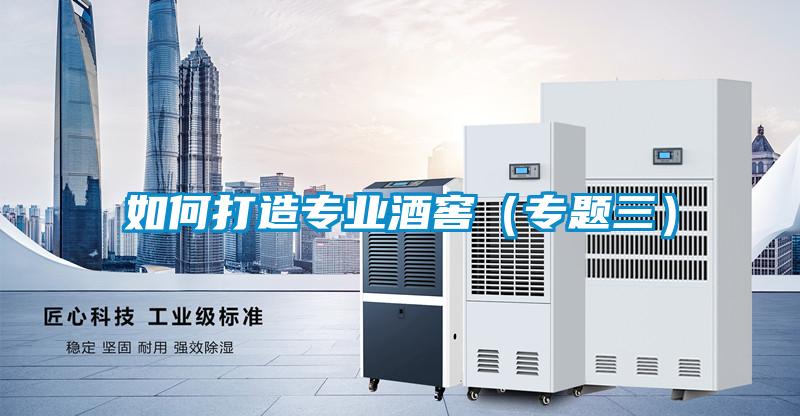 如何打造專(zhuān)業(yè)酒窖(專(zhuān)題三)