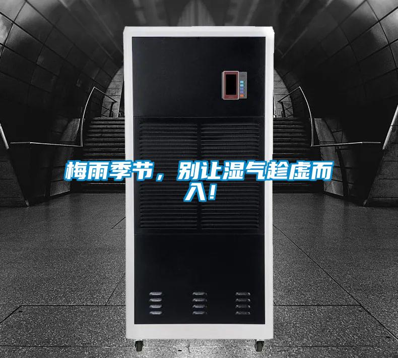 梅雨季節，別讓濕氣趁虛而入！