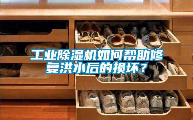 工業除濕機如何幫助修復洪水后的損壞？