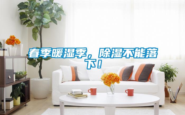 春季暖濕季，除濕不能落下！
