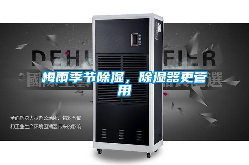 梅雨季節除濕，除濕器更管用