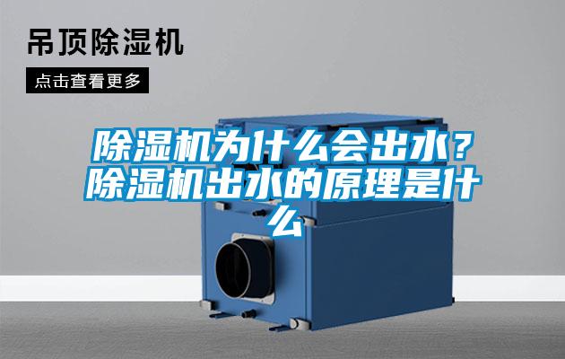 除濕機(jī)為什么會(huì)出水?除濕機(jī)出水的原理是什么
