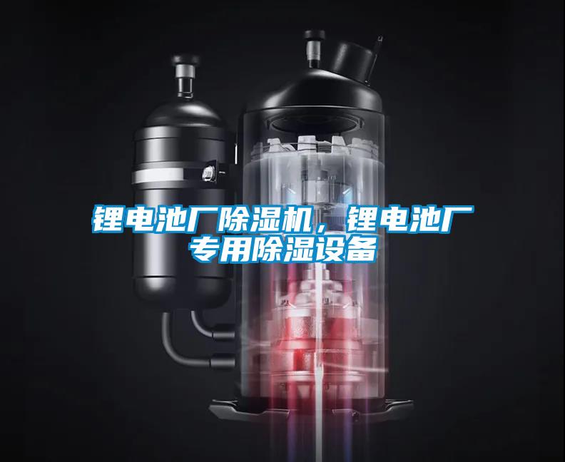 鋰電池廠除濕機,鋰電池廠專用除濕設備