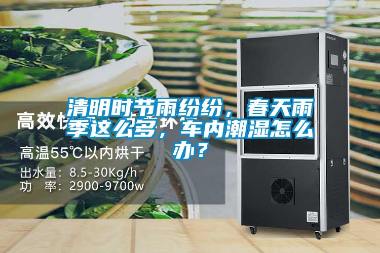 清明時節雨紛紛，春天雨季這么多，車內潮濕怎么辦？
