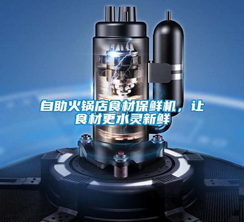 自助火鍋店食材保鮮機,讓食材更水靈新鮮