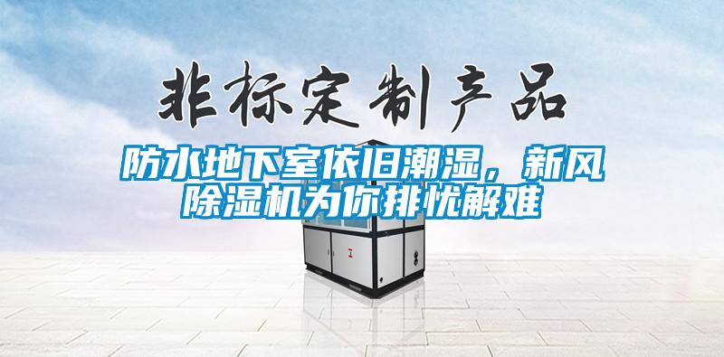 防水地下室依舊潮濕，新風(fēng)除濕機(jī)為你排憂解難