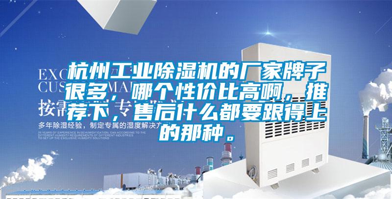 杭州工業除濕機的廠家牌子很多，哪個性價比高啊，推薦下，售后什么都要跟得上的那種。