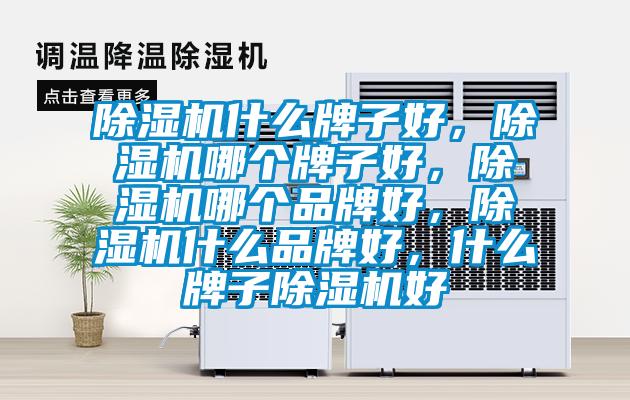 除濕機(jī)什么牌子好，除濕機(jī)哪個(gè)牌子好，除濕機(jī)哪個(gè)品牌好，除濕機(jī)什么品牌好，什么牌子除濕機(jī)好