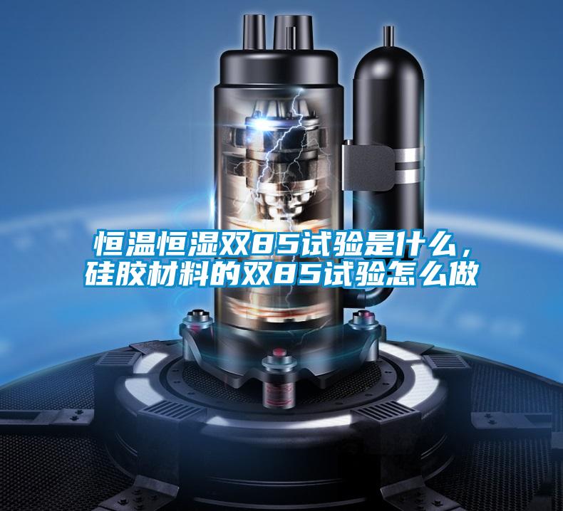 恒溫恒濕雙85試驗是什么，硅膠材料的雙85試驗怎么做