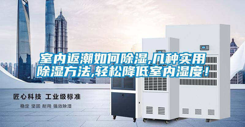 室內返潮如何除濕,幾種實用除濕方法,輕松降低室內濕度!