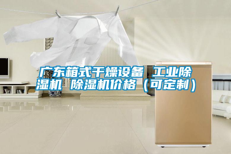 廣東箱式干燥設備 工業(yè)除濕機 除濕機價格（可定制）