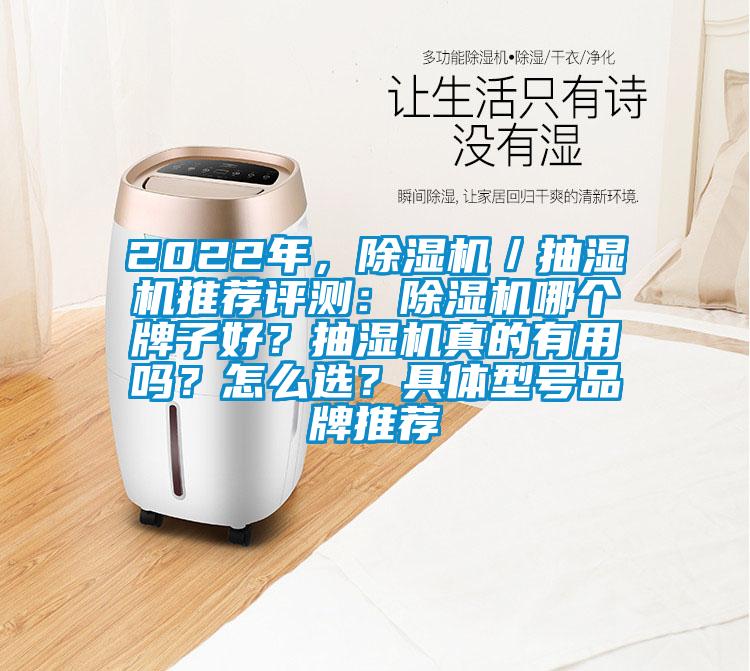 2022年，除濕機／抽濕機推薦評測：除濕機哪個牌子好？抽濕機真的有用嗎？怎么選？具體型號品牌推薦