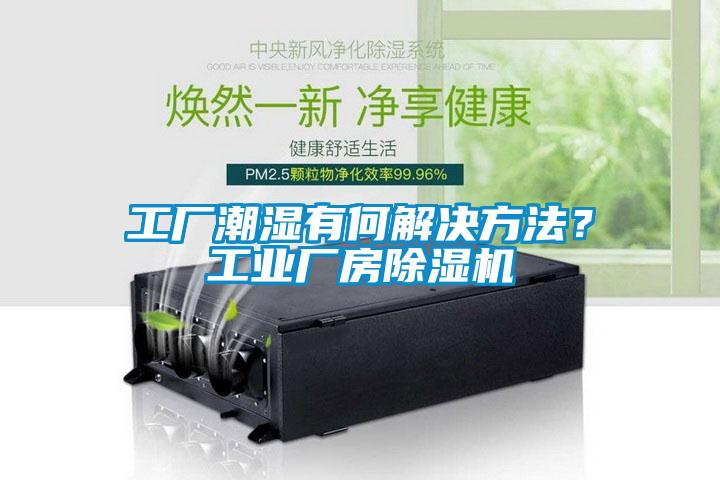 工廠潮濕有何解決方法？工業廠房除濕機