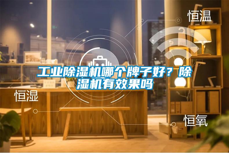 工業(yè)除濕機(jī)哪個(gè)牌子好?除濕機(jī)有效果嗎