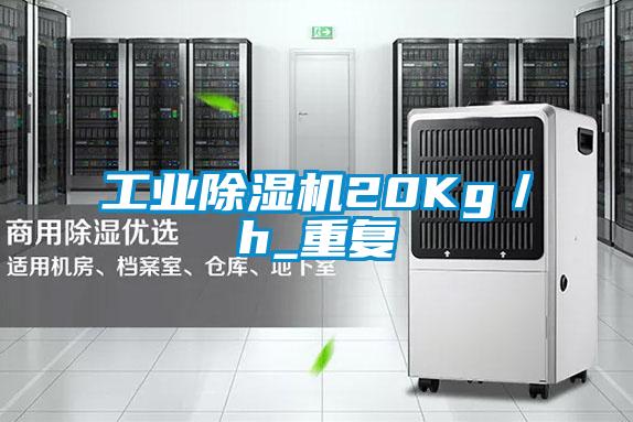 工業除濕機20Kg/h_重復