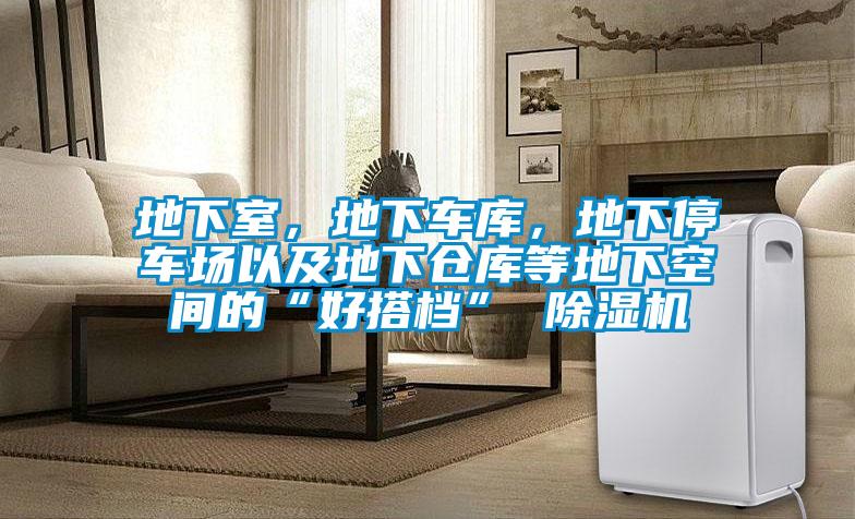 地下室,地下車庫(kù),地下停車場(chǎng)以及地下倉(cāng)庫(kù)等地下空間的“好搭檔” 除濕機(jī)