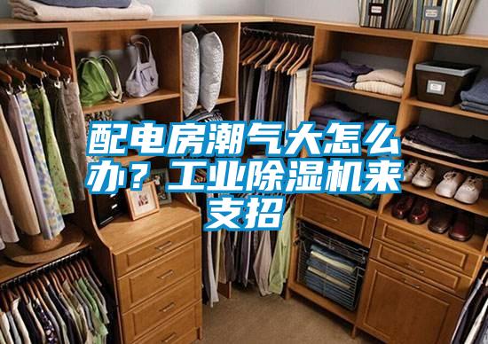 配電房潮氣大怎么辦?工業(yè)除濕機來支招