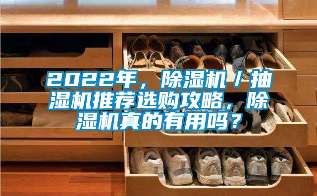 2022年，除濕機／抽濕機推薦選購攻略，除濕機真的有用嗎？