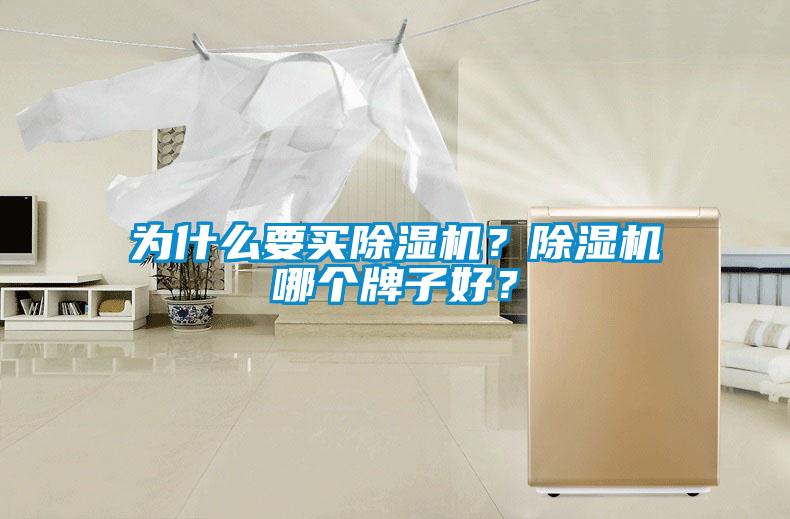 為什么要買除濕機(jī)?除濕機(jī)哪個牌子好?