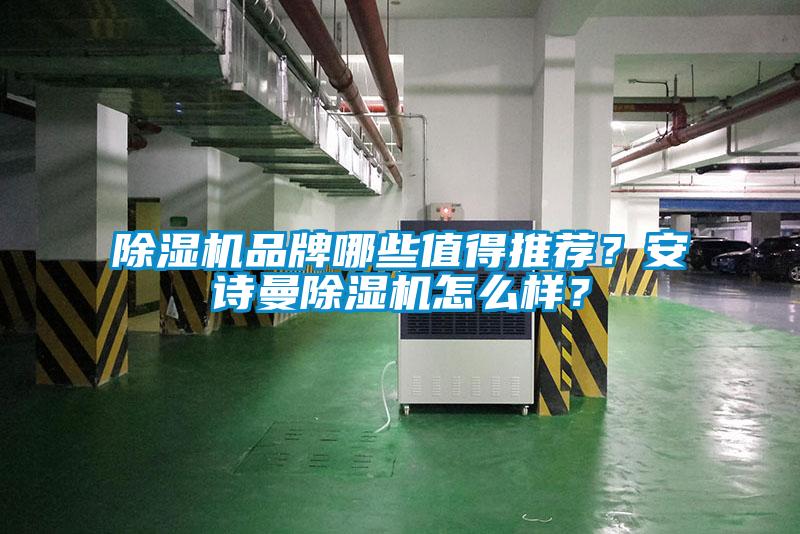 除濕機品牌哪些值得推薦?安詩曼除濕機怎么樣?