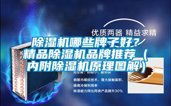 除濕機哪些牌子好？精品除濕機品牌推薦（內(nèi)附除濕機原理圖解）