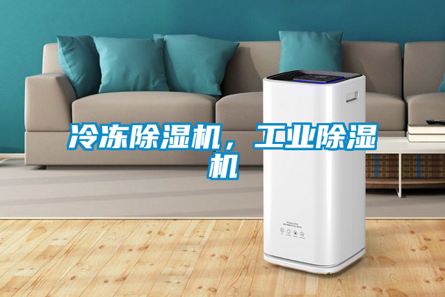 冷凍除濕機,工業(yè)除濕機