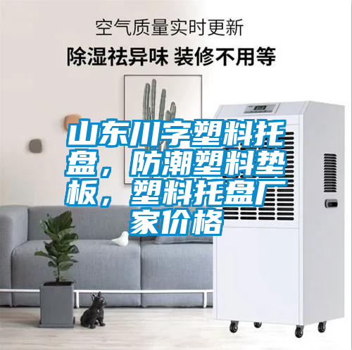 山東川字塑料托盤，防潮塑料墊板，塑料托盤廠家價格