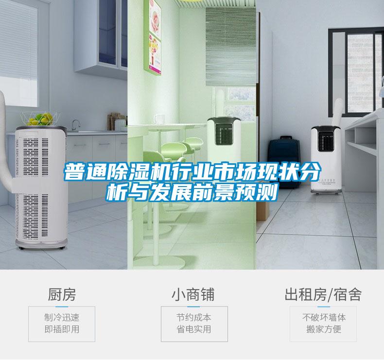 普通除濕機行業市場現狀分析與發展前景預測
