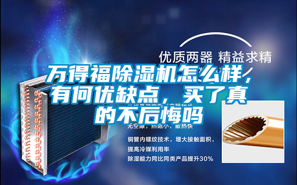 萬得福除濕機怎么樣，有何優(yōu)缺點，買了真的不后悔嗎