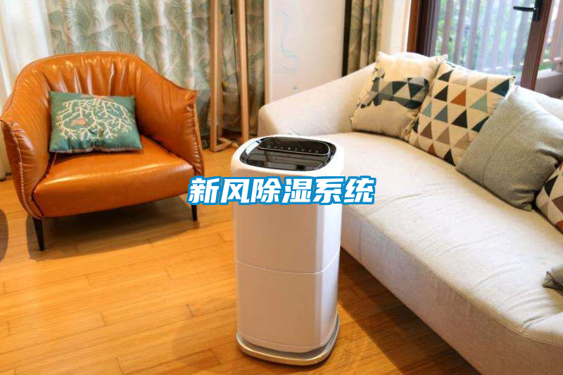 新風除濕系統(tǒng)