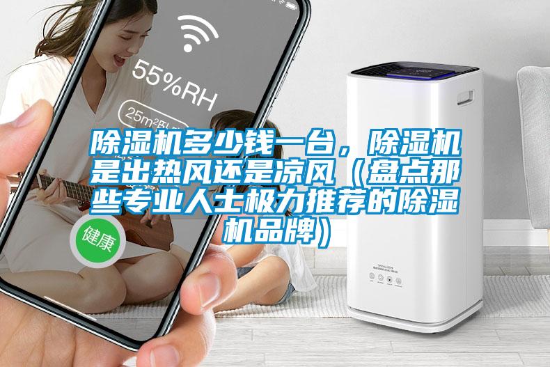 除濕機多少錢一臺，除濕機是出熱風還是涼風（盤點那些專業人士極力推薦的除濕機品牌）