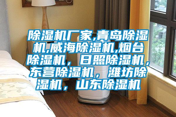 除濕機廠家,青島除濕機,威海除濕機,煙臺除濕機，日照除濕機，東營除濕機，濰坊除濕機，山東除濕機