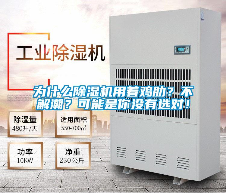 為什么除濕機(jī)用著雞肋？不解潮？可能是你沒(méi)有選對(duì)！