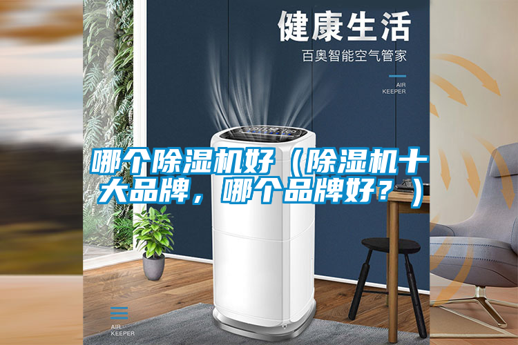哪個除濕機好（除濕機十大品牌，哪個品牌好？）