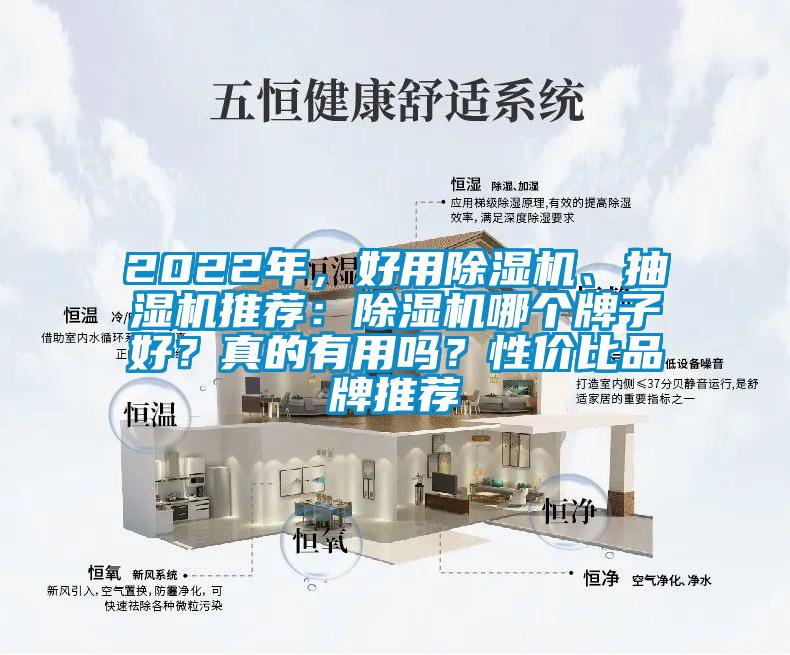 2022年，好用除濕機、抽濕機推薦：除濕機哪個牌子好？真的有用嗎？性價比品牌推薦