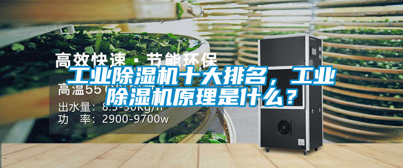 工業除濕機十大排名，工業除濕機原理是什么？