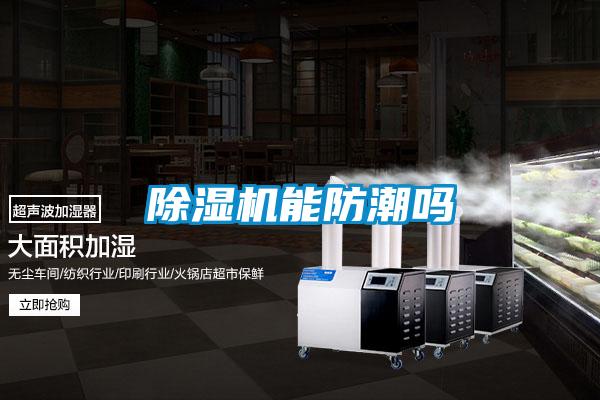 除濕機能防潮嗎